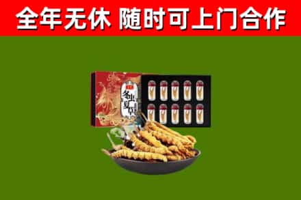 甘孜县回收冬虫夏草价格
